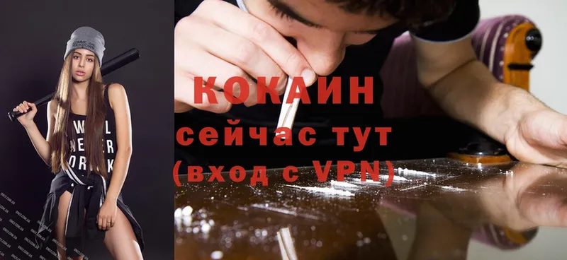 COCAIN VHQ Тайга